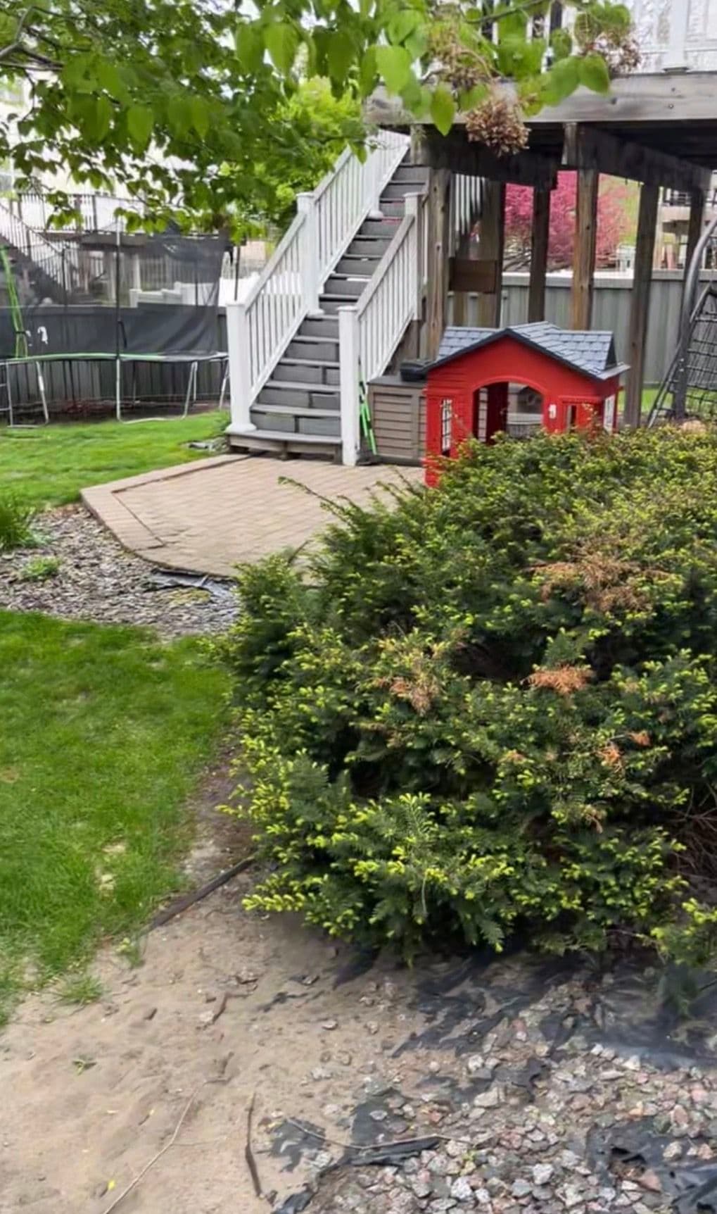 Gallery photos for Muddy Backyard Gets Stamped Concrete, Fresh Sod, and Proper Drainage: Image #1