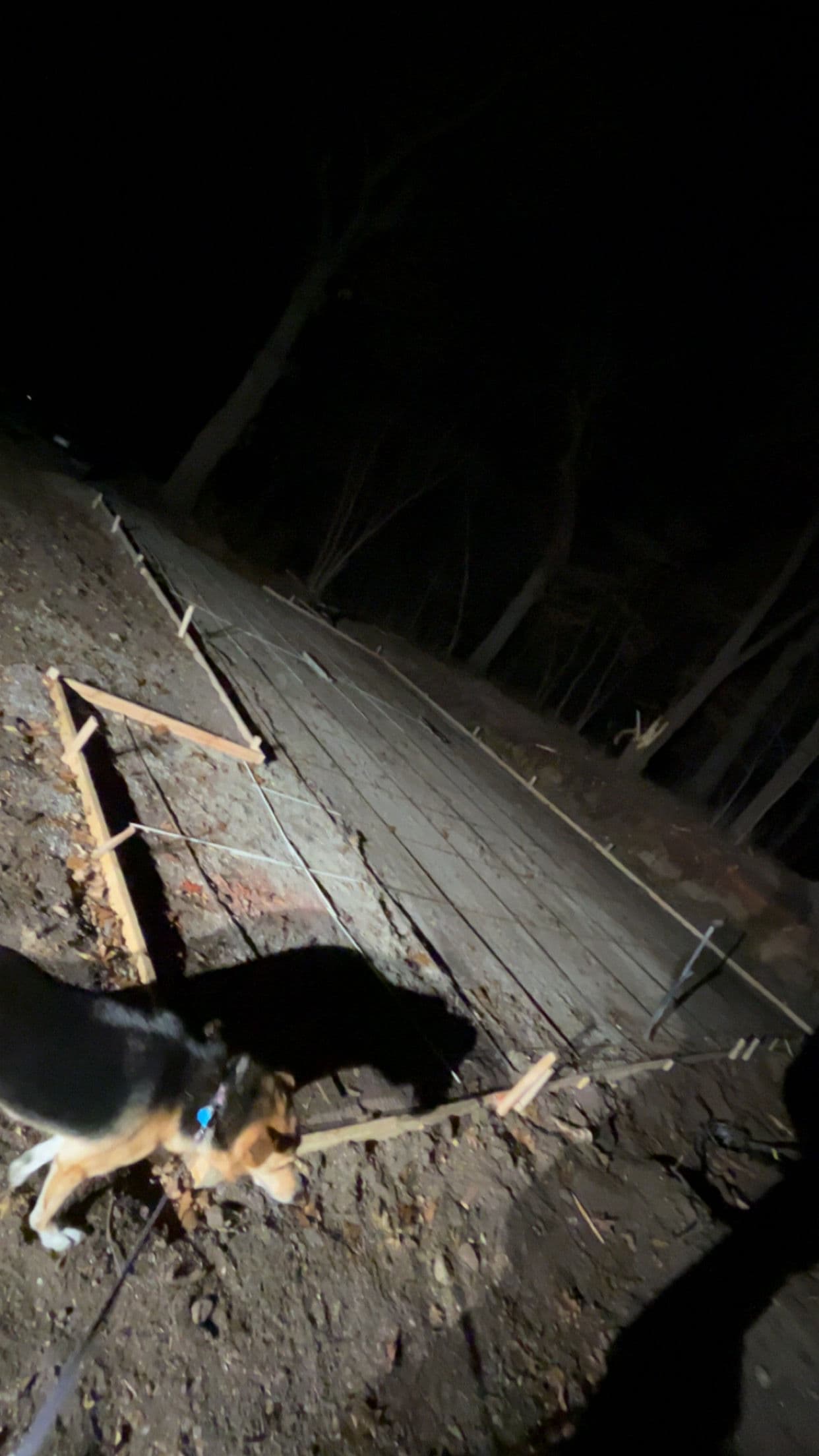 Gallery photos for New Concrete Foundations in a Wooded Area: Image #4