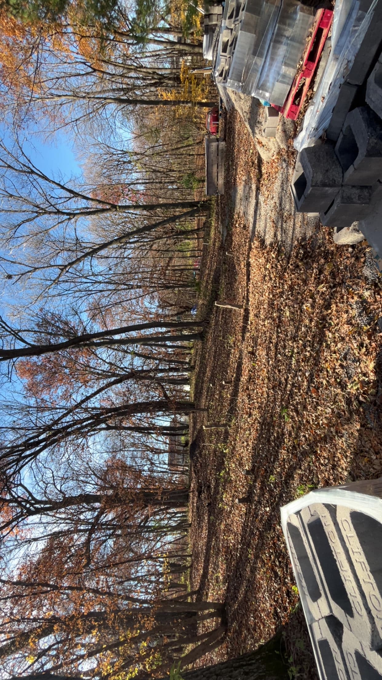 New Concrete Foundations in a Wooded Area image